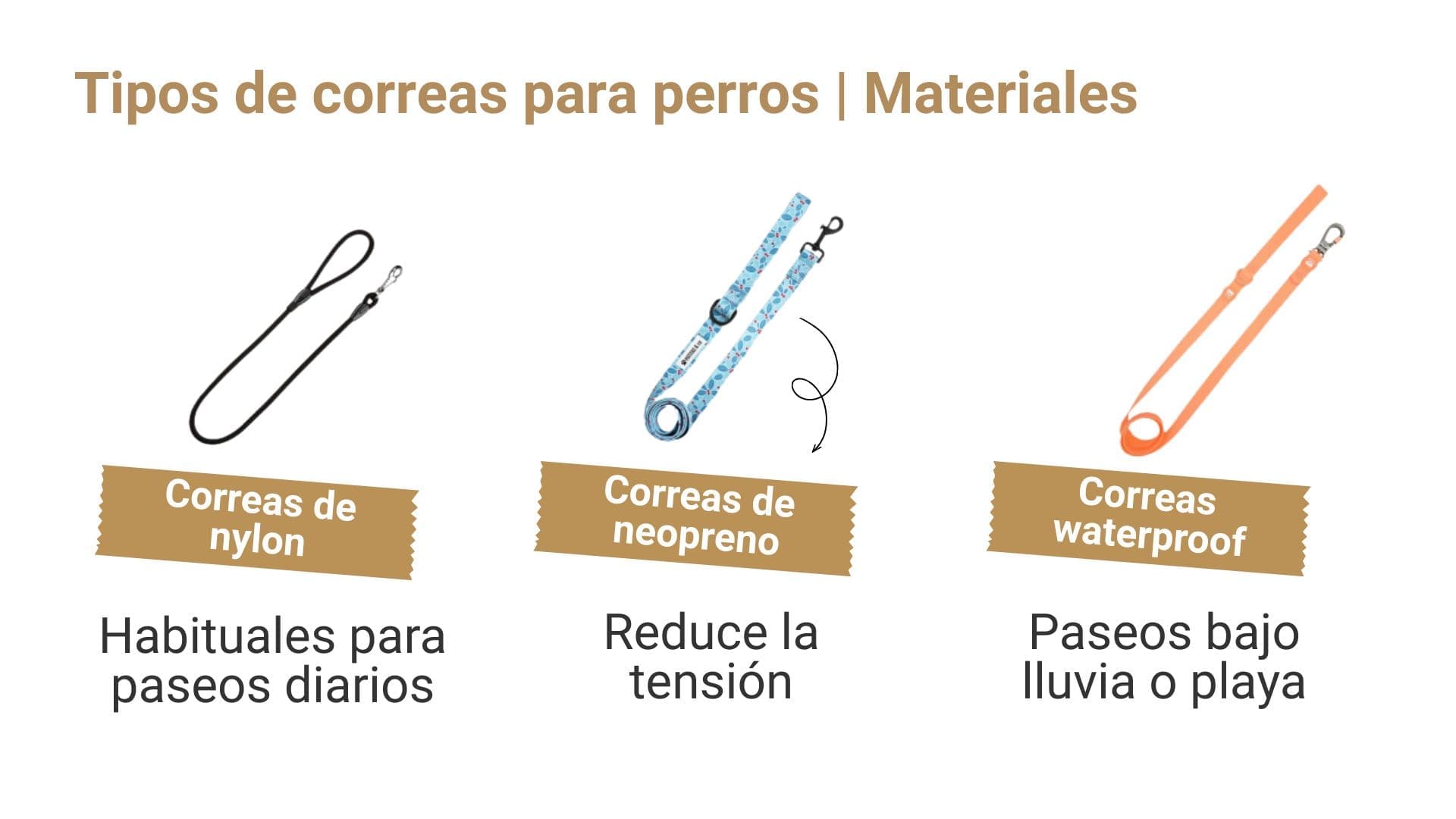 Tipos de correas para perros